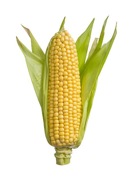 Corn