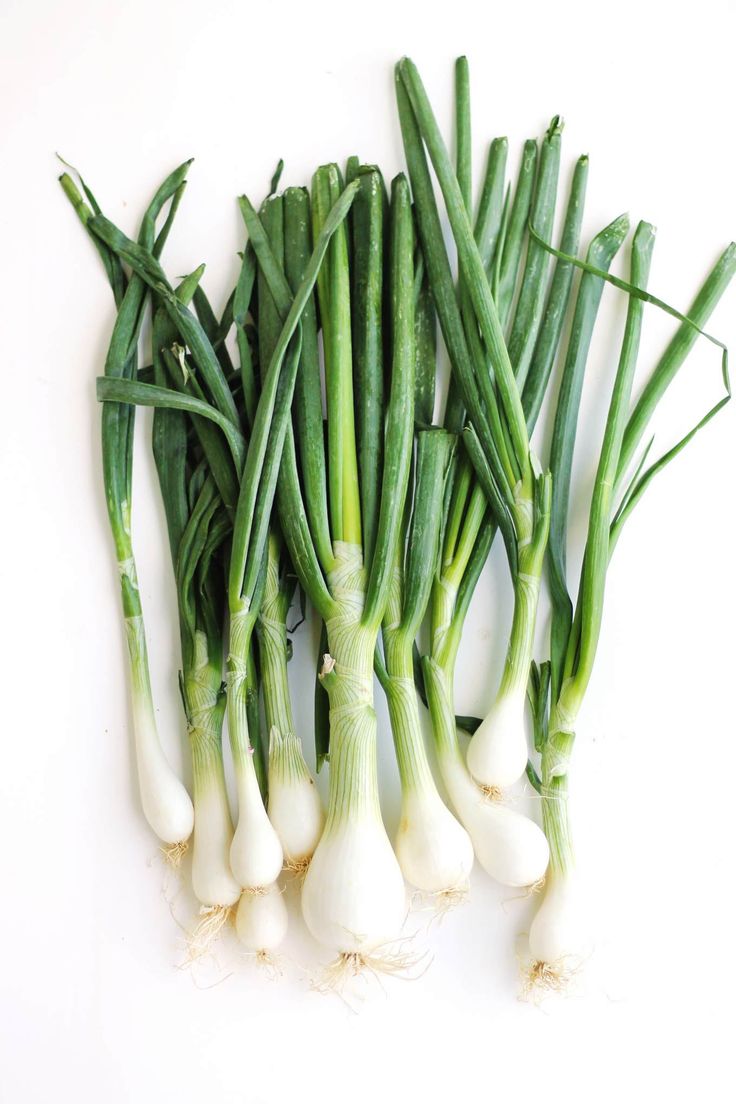 Spring Onion